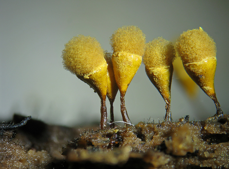 Puntualmente ogni anno...